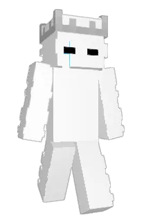 Front of T1PG's skin