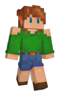 Front of ptakk's skin