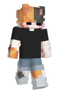 Front of Phyrogas's skin