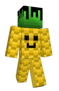 Front of pineapplemc_'s skin