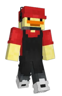 Front of Racoonigain's skin