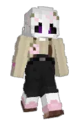 charm_y3