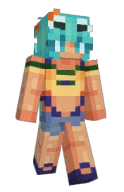 Skin preview