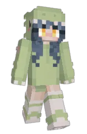 Skin preview