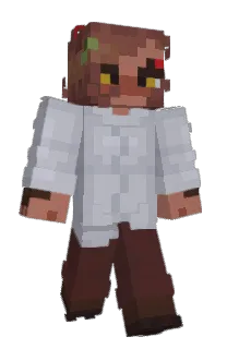 Front of swiftcarrotcake's skin