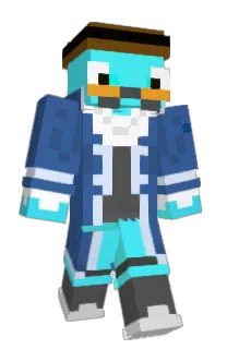 Front of sirpfryer's skin