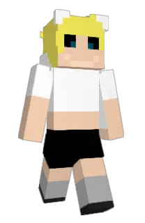 Front of Tortoiso's skin