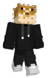cod gray and mine shaft Minecraft skin — Classic model