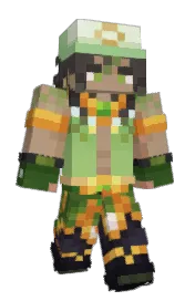 Skin preview