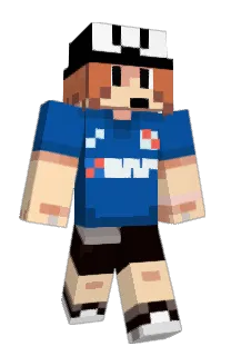 pip0pat's Minecraft skin