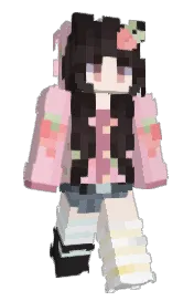 Skin preview