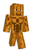 DashPum4