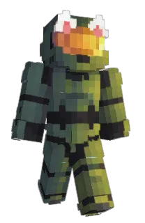 Front of picklebra's skin