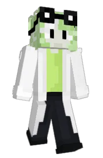 Front of independex's skin