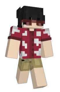 Front of Tw1zyz's skin