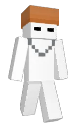 Minecraft skin — Classic model