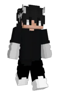 Front of ninjaik's skin