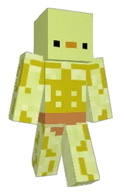 Skin preview