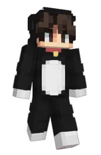 Front of johnush's skin