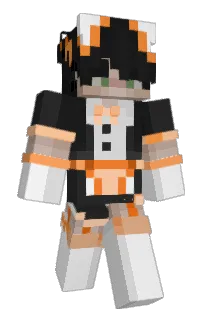 Front of thefallensys's skin