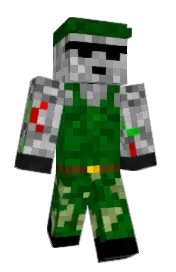 Skin preview