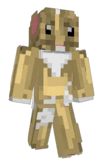Front of pipear's skin