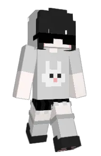 Front of Npc_1355's skin