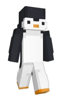 Front of pboblo's skin
