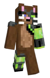 Skin preview