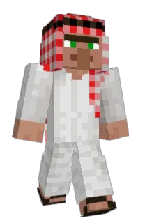 Front of BusGubben's skin