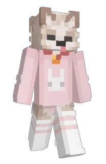 Front of AgenteBanyo's skin