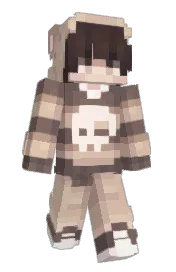 Skin preview