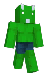 Front of Minecraft skin