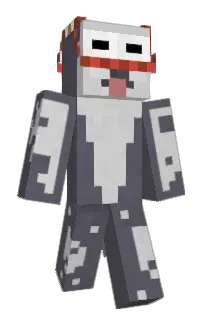 Front of SquideddHD's skin