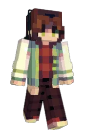 Skin preview