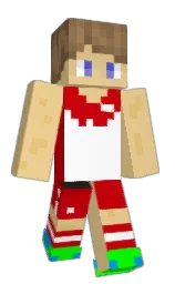 Classic Minecraft skin