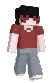 Front of wozfin's skin