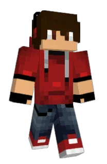 Front of iDSG's skin