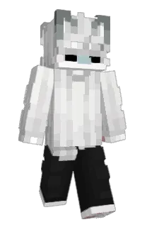 Front of dusifish's skin