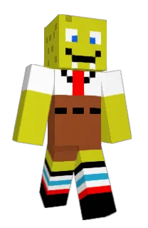 Front of barakakash's skin