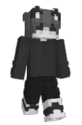 SILLYCATSILVER