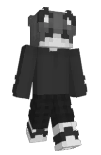 Front of SILLYCATSILVER's skin