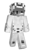 diNsTaR