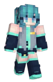 Skin preview