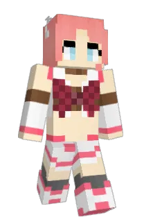 Front of SingleSlice's skin