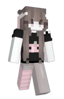 Front of iyvw's skin