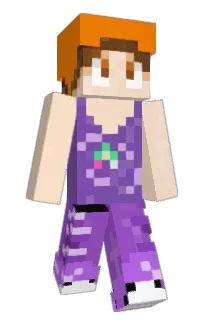 Front of Dingbat1991's skin