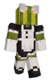 Skin preview