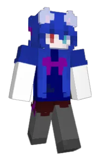 Front of Robitexture's skin