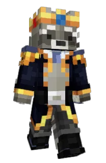 Front of AirTomato's skin